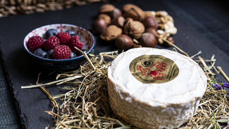 Käsetasting online