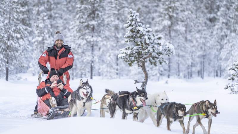 Winterzauber in Finnisch Lappland