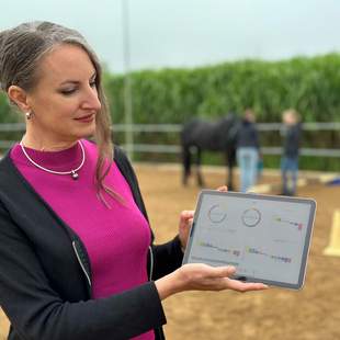 Longma - Teamentwicklung mit PS, Herz & Hirn