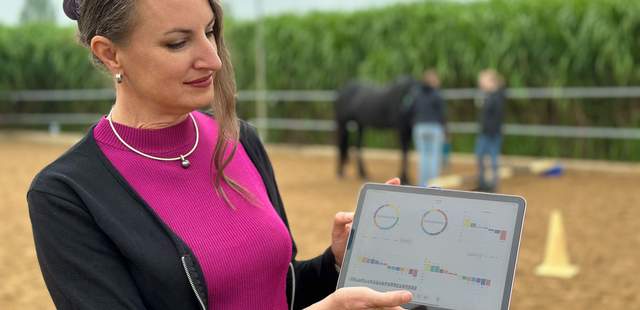 Longma - Teamentwicklung mit PS, Herz & Hirn