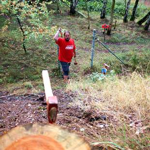 Axtwerfen im 3D-Parcours