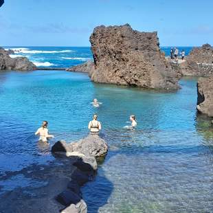 Madeira - die grüne Vulkaninsel im Atlantik