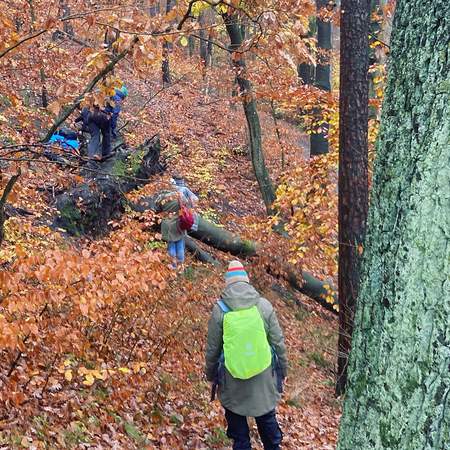 WaldBaden in der Dresdner Heide - Geocaching+