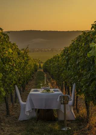 Dinner, Weinberge, Exklusiv, Aussicht, Honeymoon