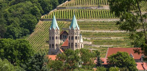 Unstrutkreis, Weinberge