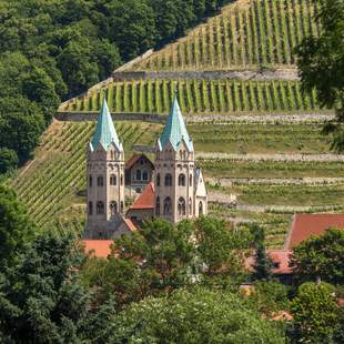 Unstrutkreis, Weinberge