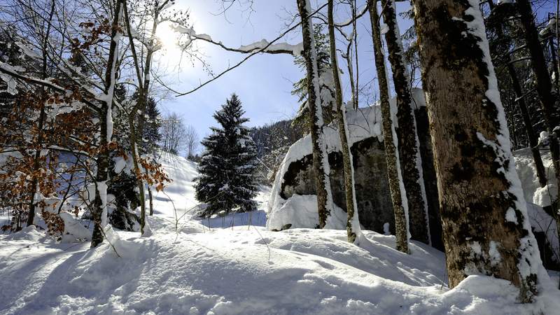 Winter Teamolympiade – Spaß im Schnee