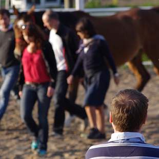 Pferdegestützter Coaching-Tag