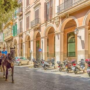 Pferdekutsche in der Altstadt von Palma de Mallorca