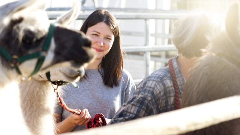 Wir sind das Team - unterwegs mit Lamas