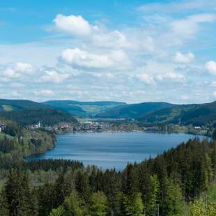 Aktiv im Team: Natur pur im Hochschwarzwald