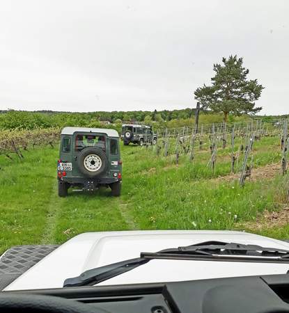 Rheingau - die Land Rover Weinbergtour