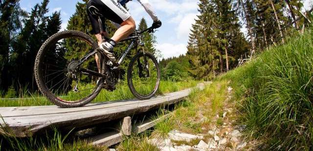 verschiedene Untergründe, Quelle VBA Harz Mountainbiking im Harz