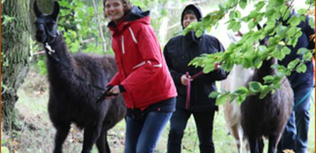 Mit dem Lama ab in die Natur! Mit dem Lama ab in die Natur!