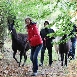 Mit dem Lama ab in die Natur!