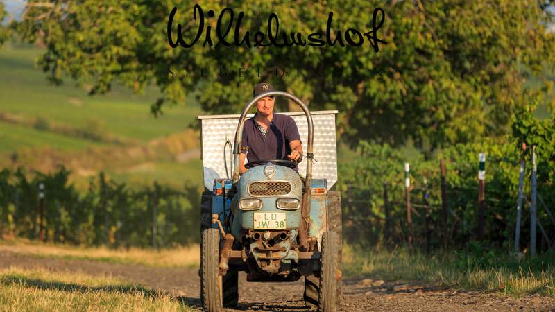 Traktor virtuelle Weinwanderung
