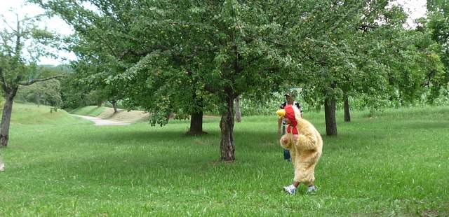 Huhn Victor3 Sumpfhuhnjagd Geocaching