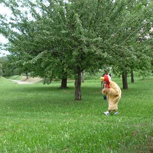 Huhn Victor3 Sumpfhuhnjagd Geocaching
