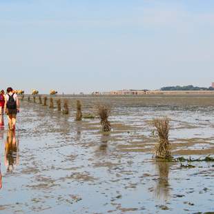 Wattwanderung Neuwerk - inklusive Bahnfahrt