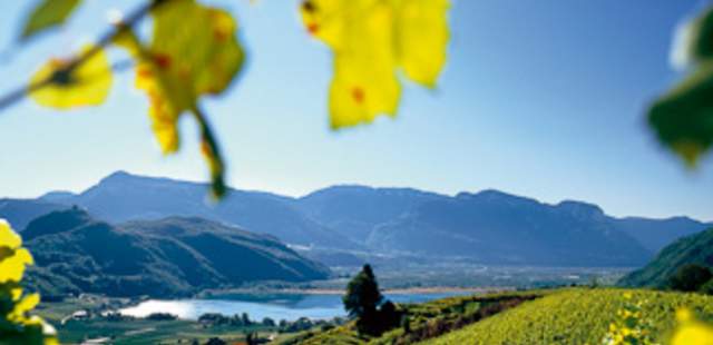 Gruppenreise Wandern & Wein