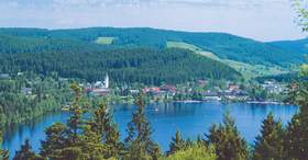 Betriebsausflug in den Schwarzwald