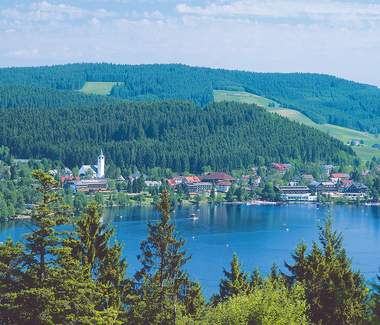 Schwarzwald Betriebsausflug