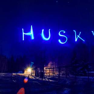 Husky Musher Trainings-Abenteuer in Lappland