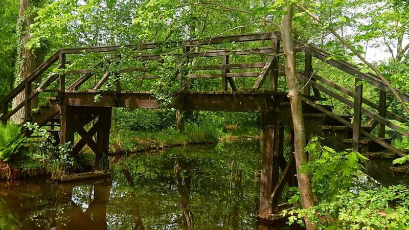 Brücke im Spreewald