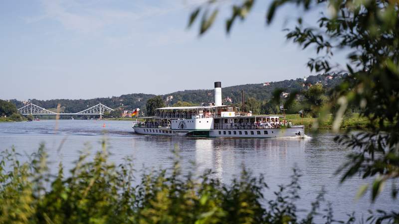 Eintauchen in Dresdens Elbtalvielfalt