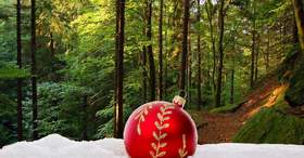 Weihnachtsfeier im Thüringer Wald