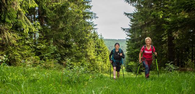 Wandern