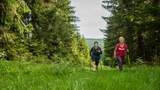 Wandern im Erzgebirge Wandern