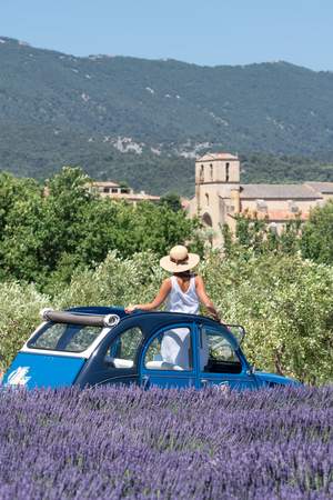 Incentive Avignon: Provence pur!