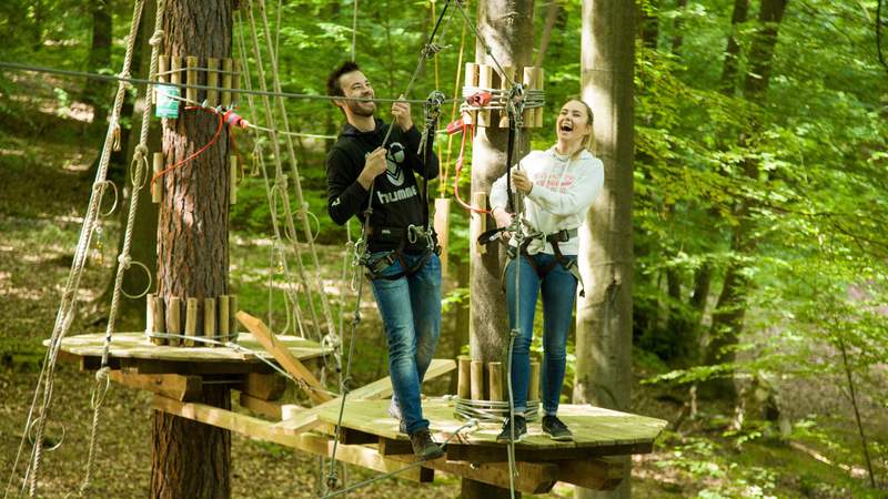 Teamevent Kletterpark & Weinprobe an der Ahr