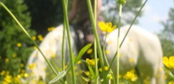 Auszeit im Schloßpark zu Menzingen