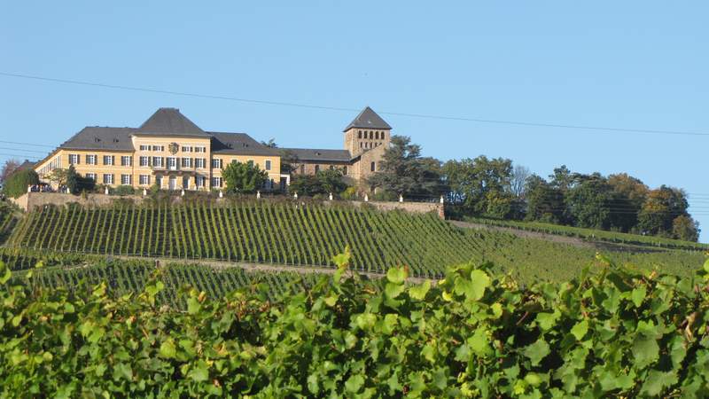 Rheingau - die Land Rover Weinbergtour