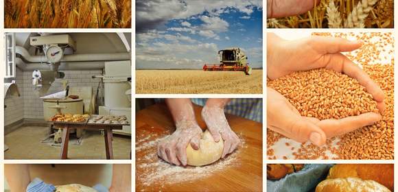 Brotbackkurs mit Brot-Sommelier