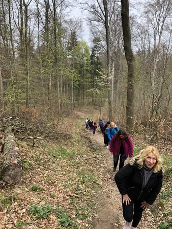 Felsenmeer Expedition im Odenwald