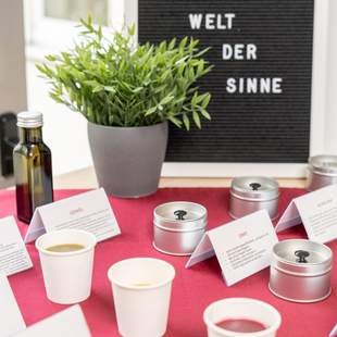 Aktionsstand: Welt der Sinne