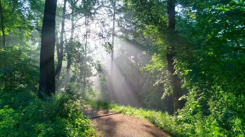 Paddeln im Spreewald