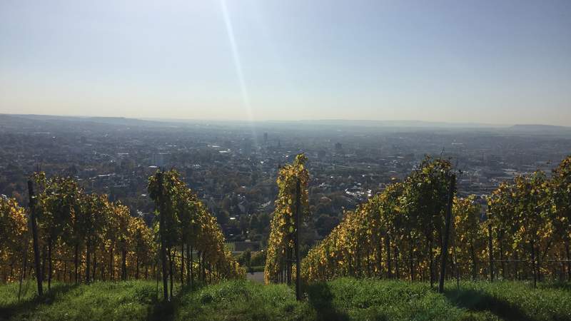 Segwaytour Heilbronn Weinerlebnistour