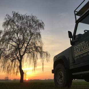 Insel-Safari | Natur erleben