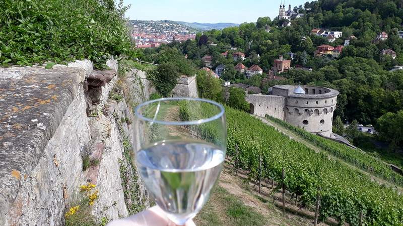 Weinbergsrallye mit Verkostung