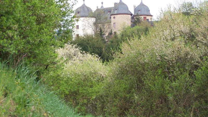 Segway Tour im Hunsrück