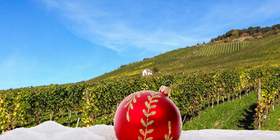 Hunsrück - Mosel - Rhein Weihnachtsfeier