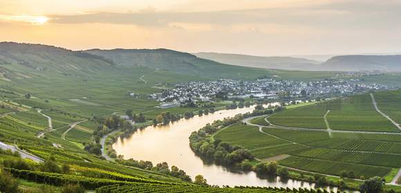 Fackelwanderung durch die Weinberge