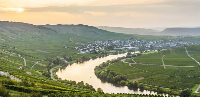 Mosel Die Mosel bei Sonnenuntergang in den Weinbergen