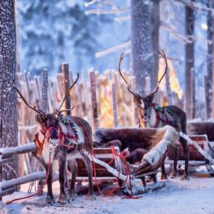 Mitternachtssonne in Lapland
