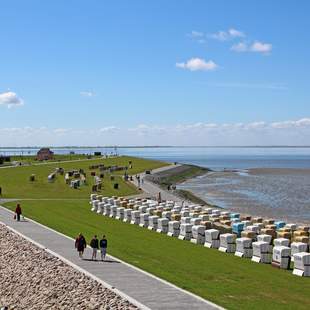 Büsum: Per Bahn zum Weltnaturerbe Wattenmeer