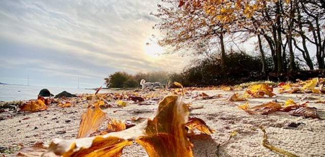 Herbst als Inspirationsquelle